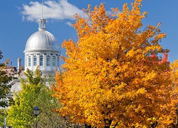 White domed building behind orange and green Autumn colors