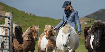 Karine Hagen with Shetland Ponies